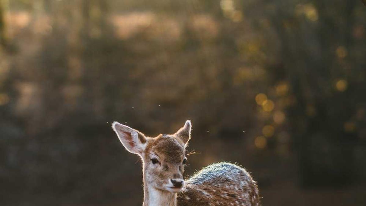 0558是哪的区号?怎么打我电话,我接后,好像是自己跟自己说话一样,全是...