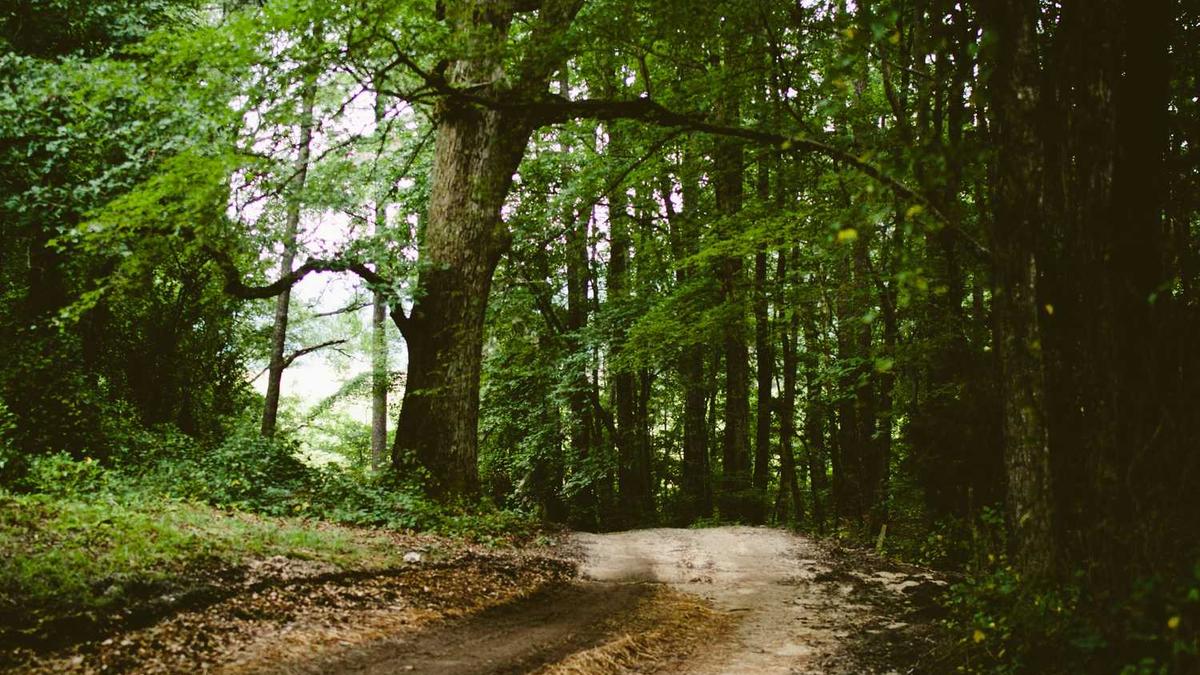 一次活动的总结