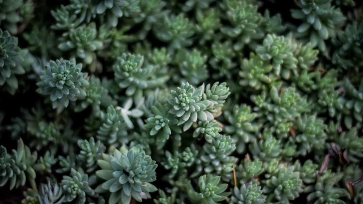 宁波32个免费景点