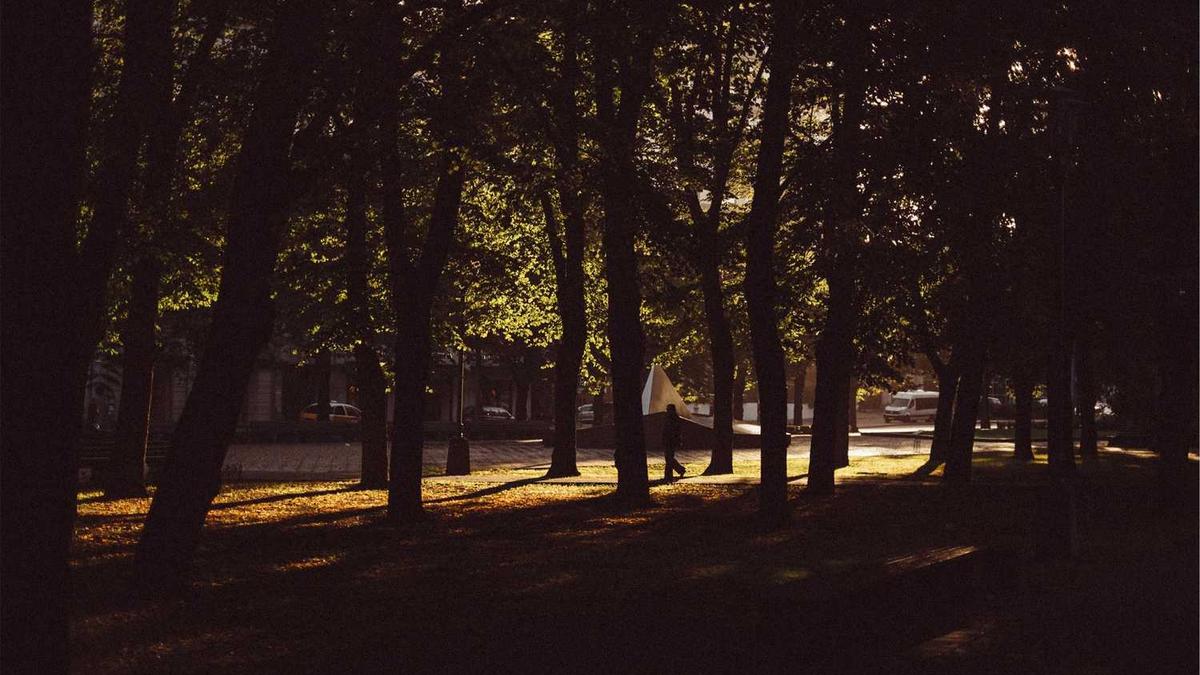 株洲有哪几个区县