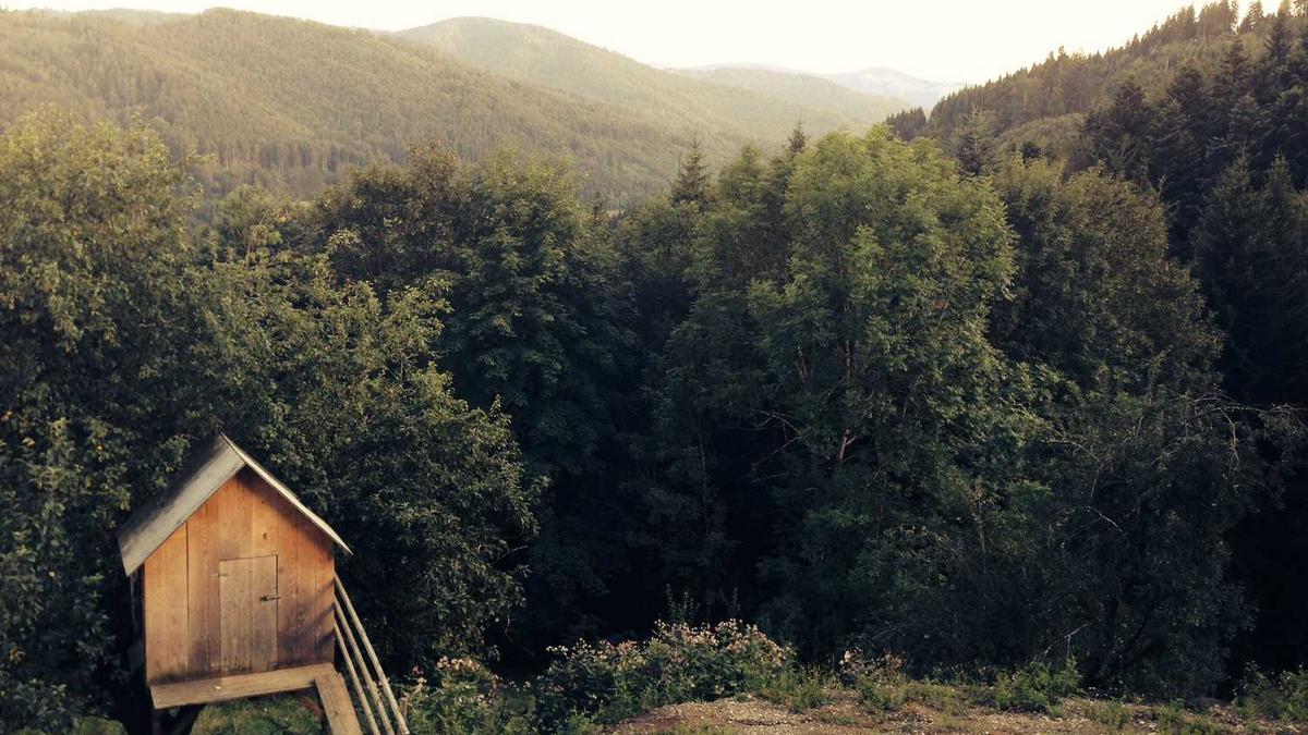 徐州大学更名是真的吗