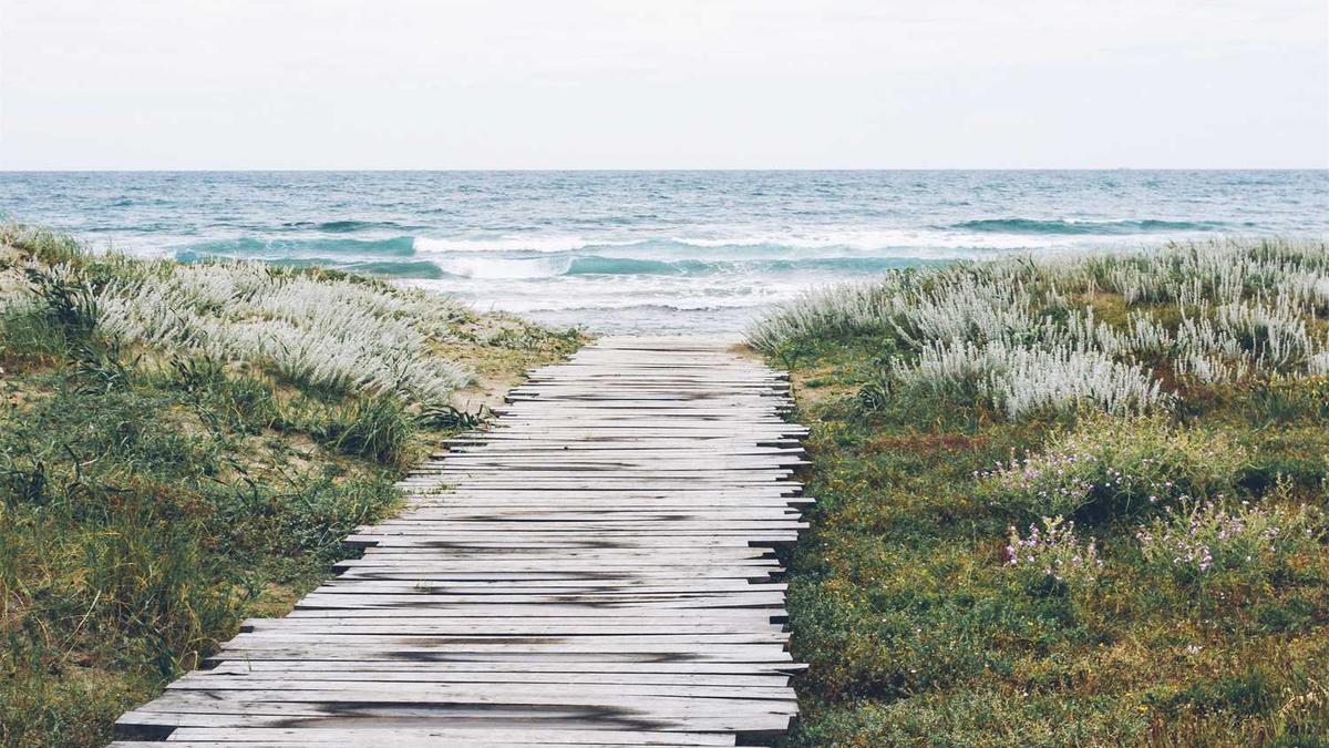 成都马拉松2024年比赛时间