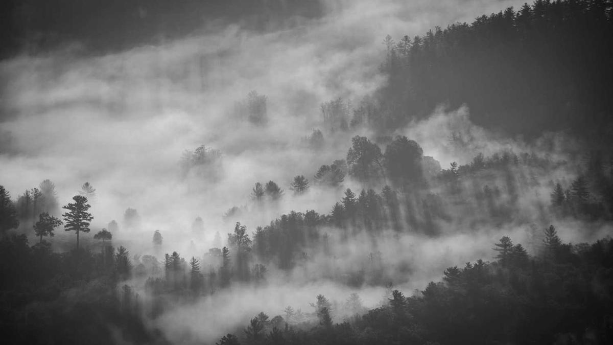 中国太保出手8亿,参设上海科创三期基金 | 融中募资周报