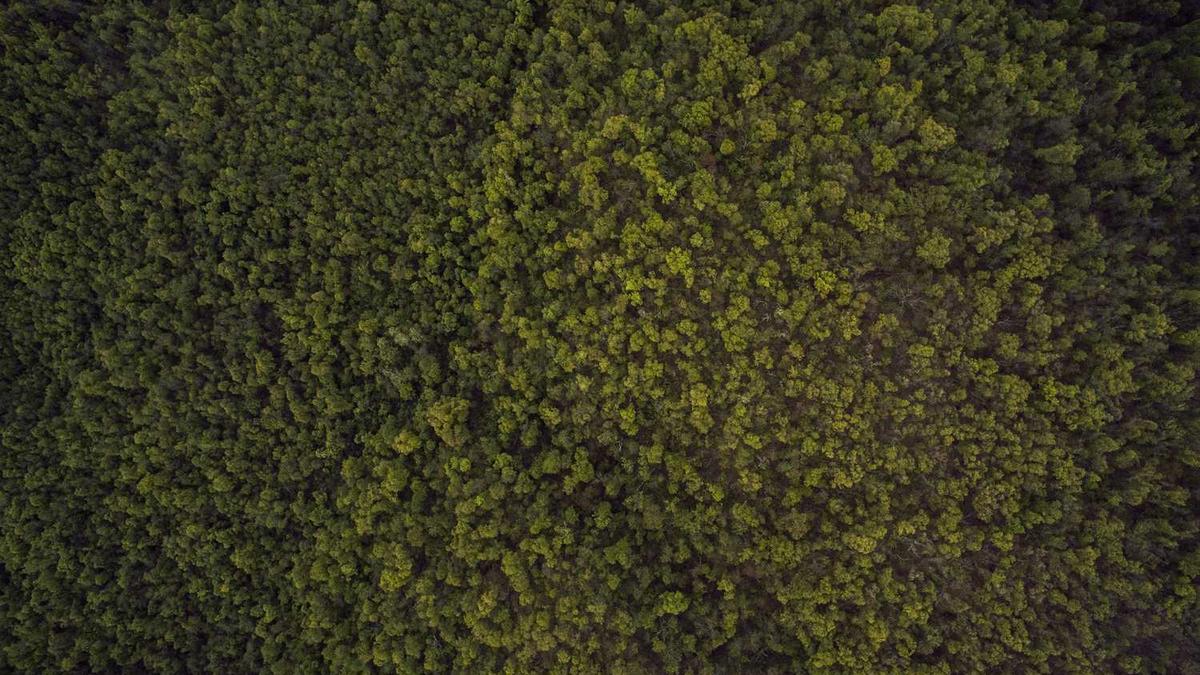 韩立华的任免信息