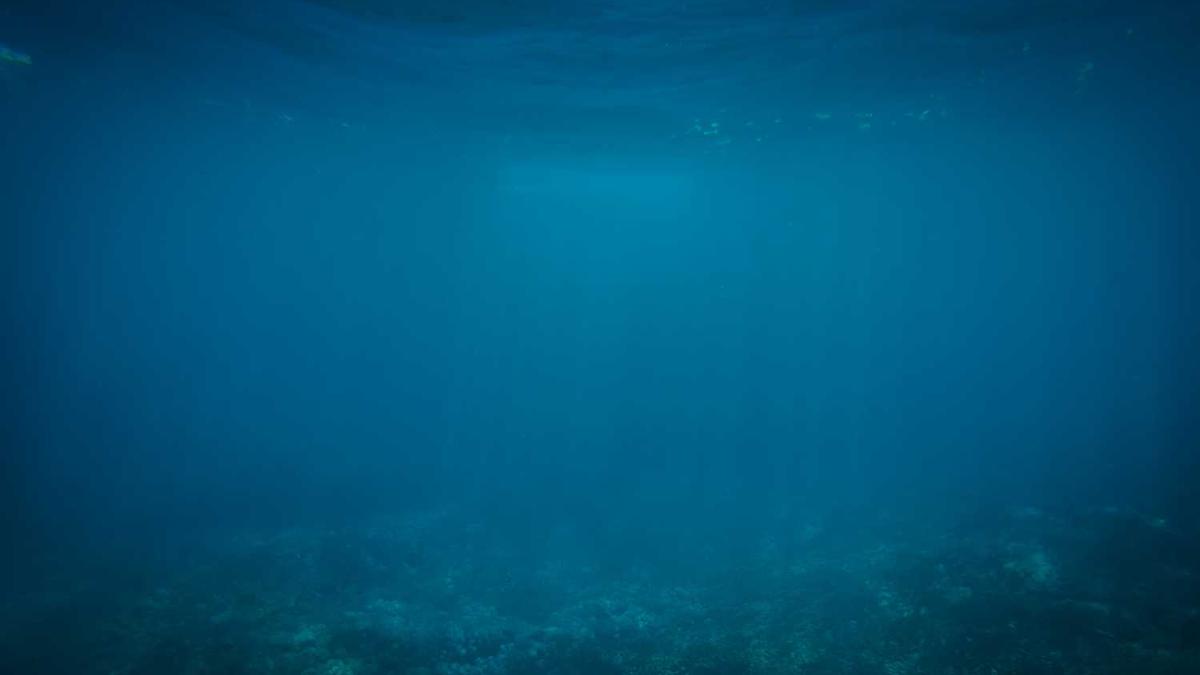 盘锦旅游必去十大景点有哪些