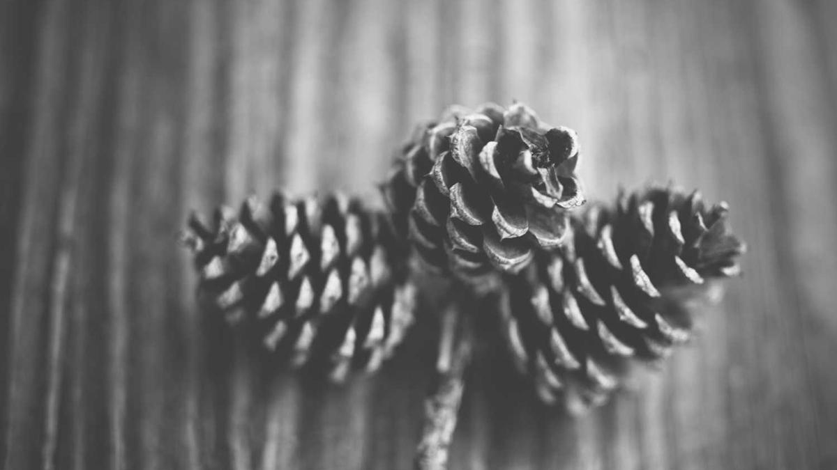 4月中旬的青岛冷吗