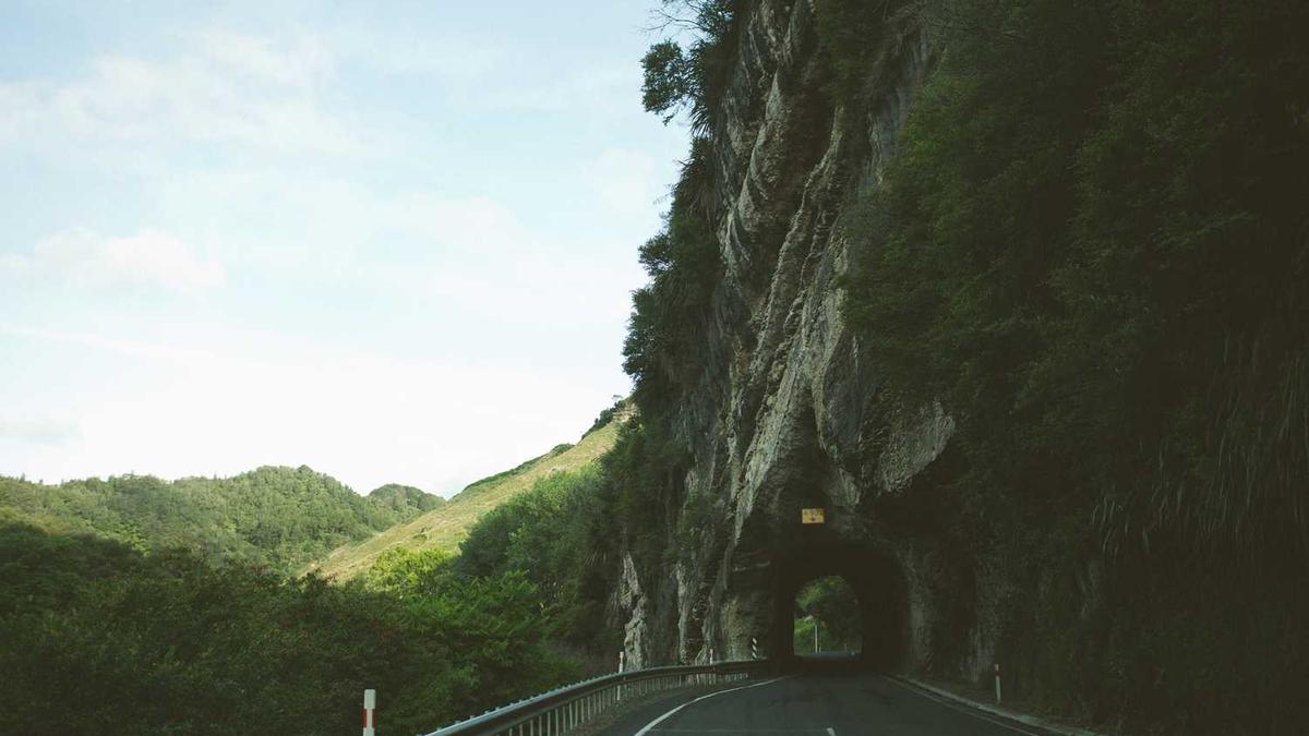 农业农村部法规司解读 《生猪定点屠宰厂(场)设置审查规定》