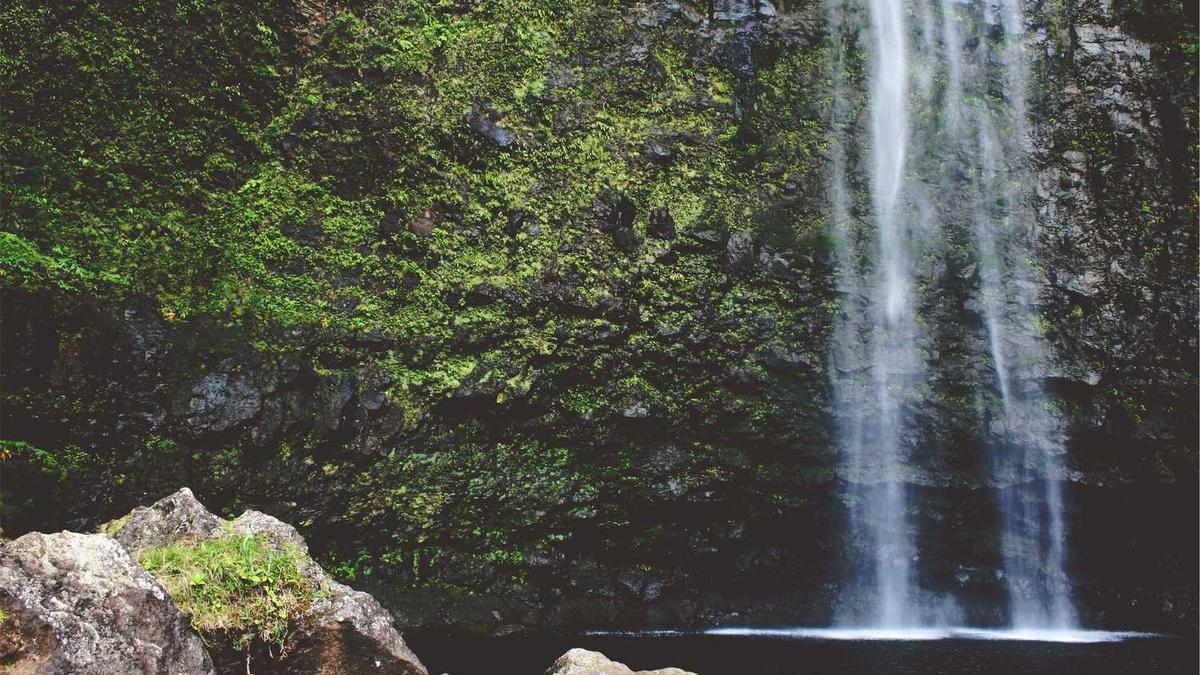 金城银行参与建设全国首个反诈主题运动公园亮相天津