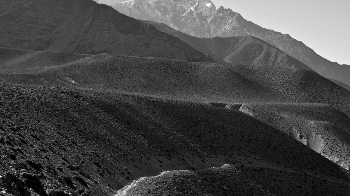 湖北荆门夏粮夏油生产呈现面积增、结构优、长势好态势丨权威发布_百 ...