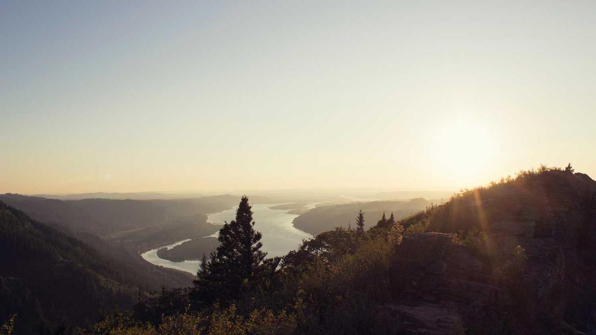 荆门油菜花开放时间2022 附景点推荐