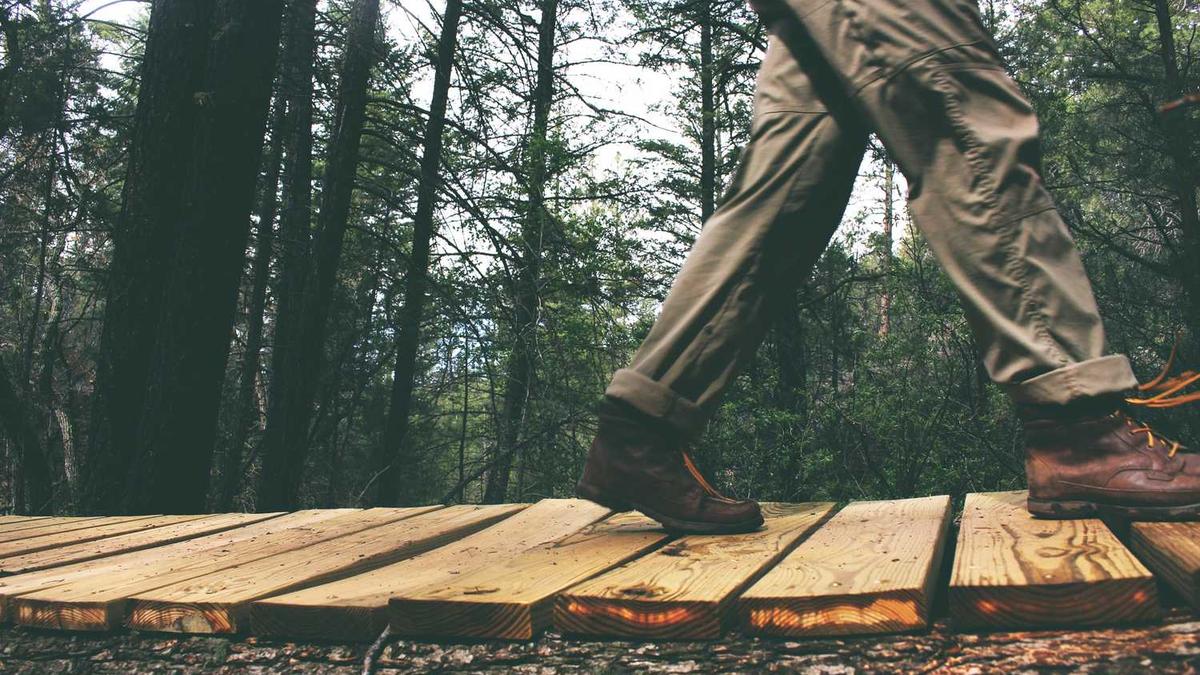 济宁有几个区县